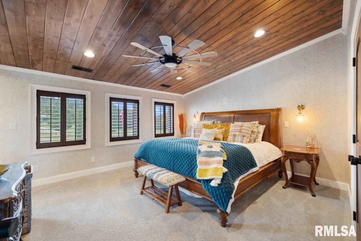 965 Corzine Road Buncombe, IL 62912 - Photo 46 of 100