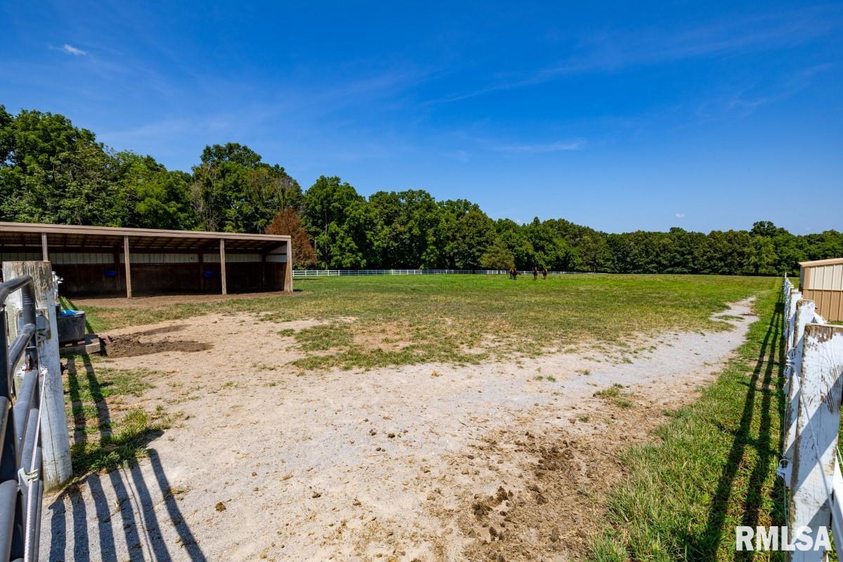 965 Corzine Road Buncombe, IL 62912 - Photo 92 of 100