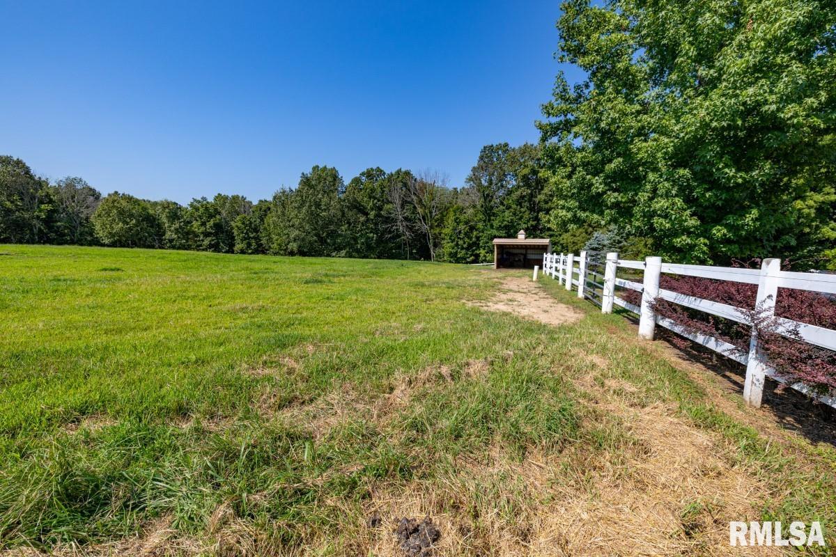 965 Corzine Road Buncombe, IL 62912 - Photo 99 of 100