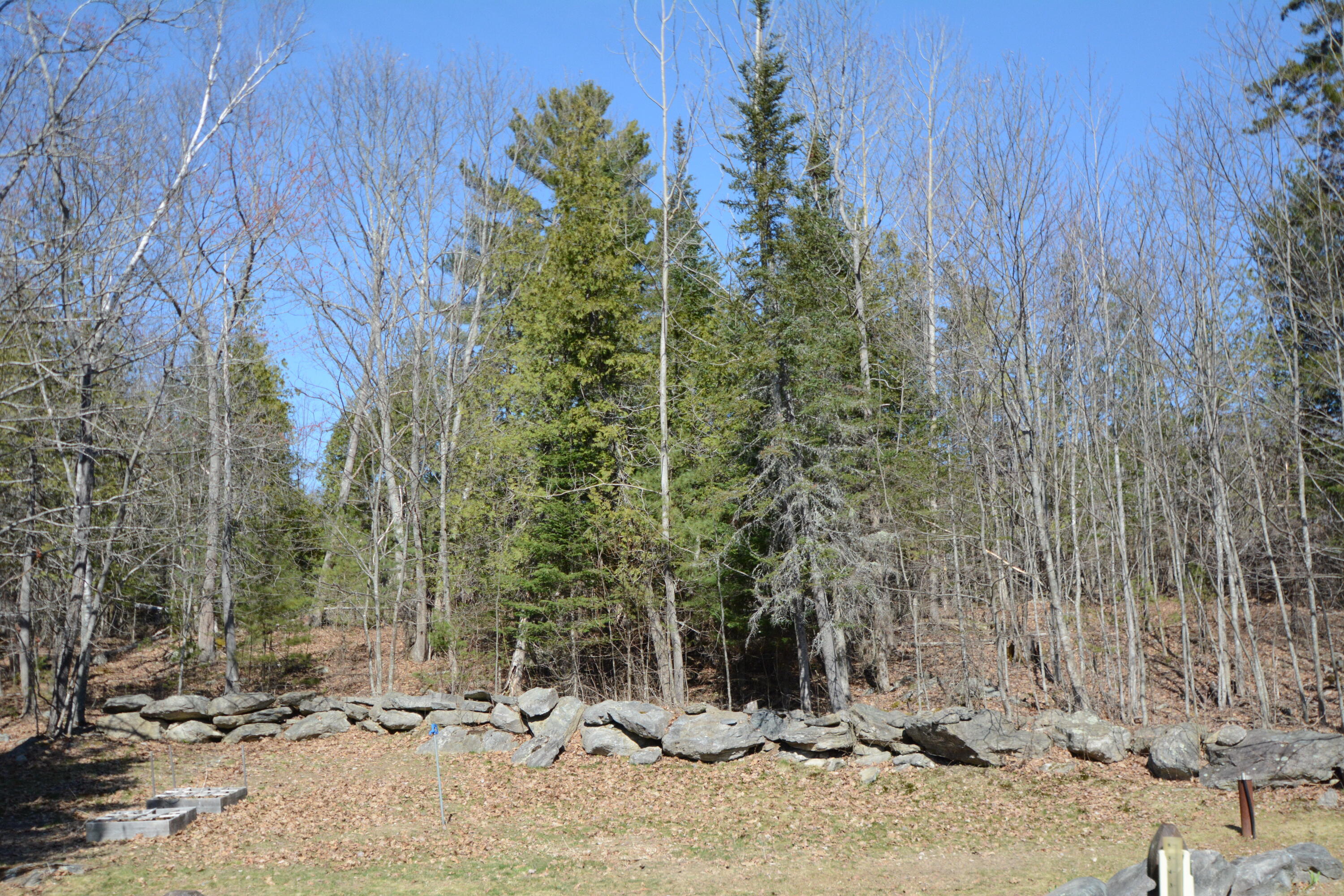 1723 River Road Bucksport, ME 04416 - Photo 29 of 41 Back yard