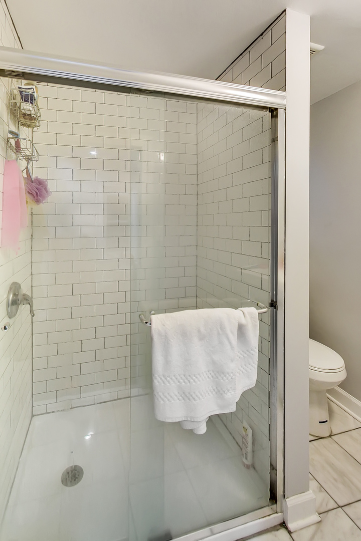 2338 West 18th Place Chicago, IL 60608 - Photo 52 of 63 a bathroom with a shower and toilet