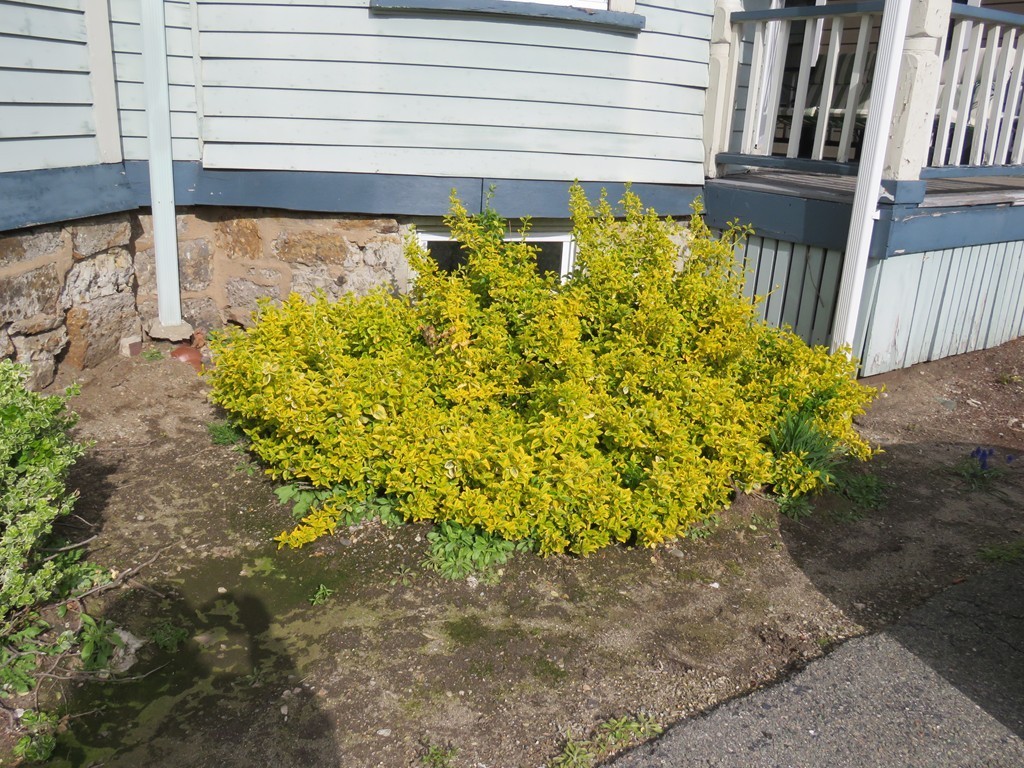 13 Mansfield Street, Unit 2 Boston, MA 02134 - Photo 10 of 12