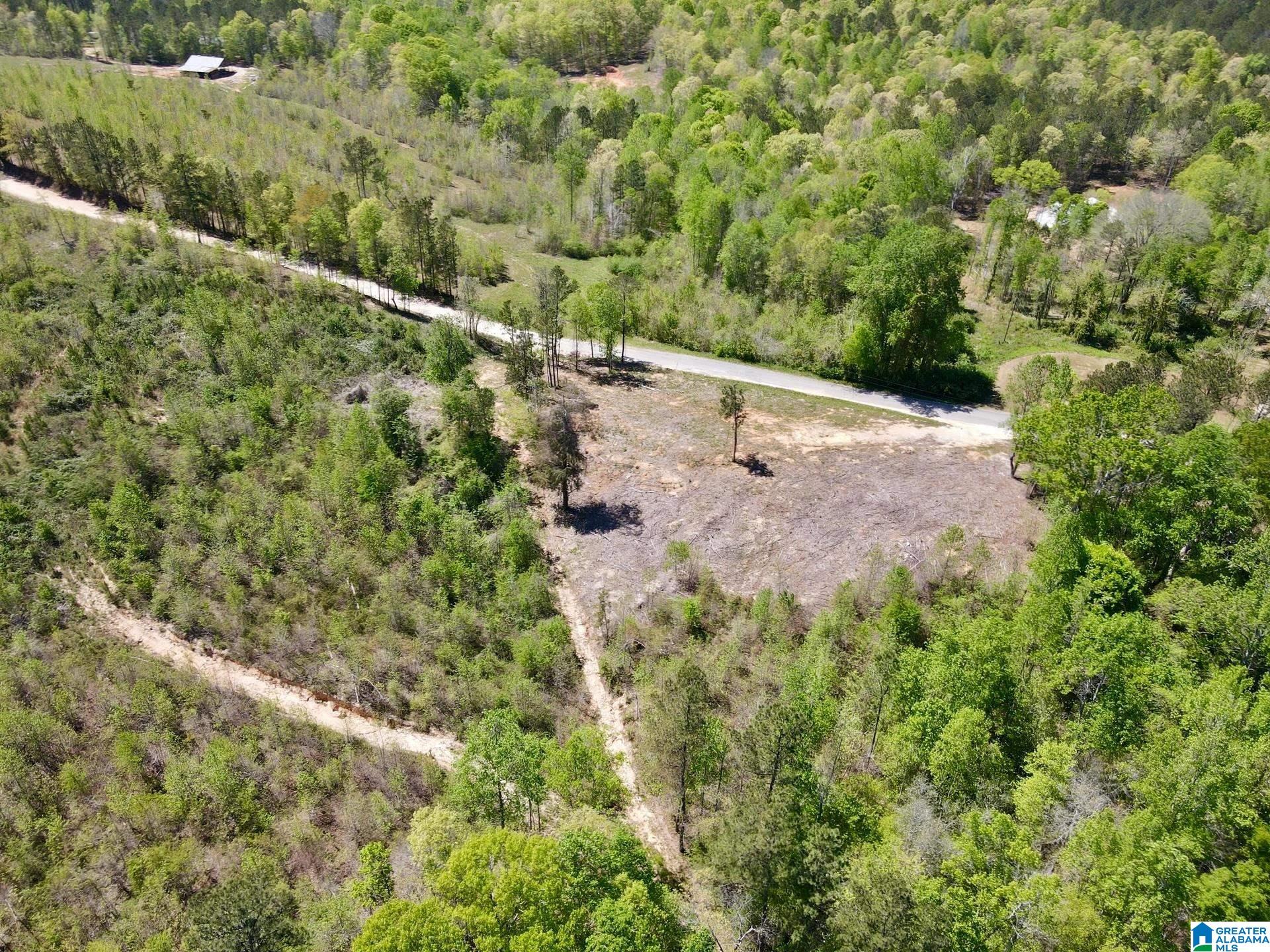 0 Landfill Road, Unit 1 Ashland, AL 36251 - Photo 1 of 15