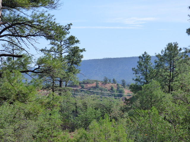 39 Saddleback Trail Star Valley, AZ 85541 - Photo 1 of 9 an aerial view of residential house with outdoor space and trees all around