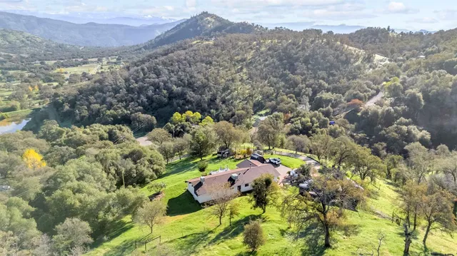 a view of a yard with a tree