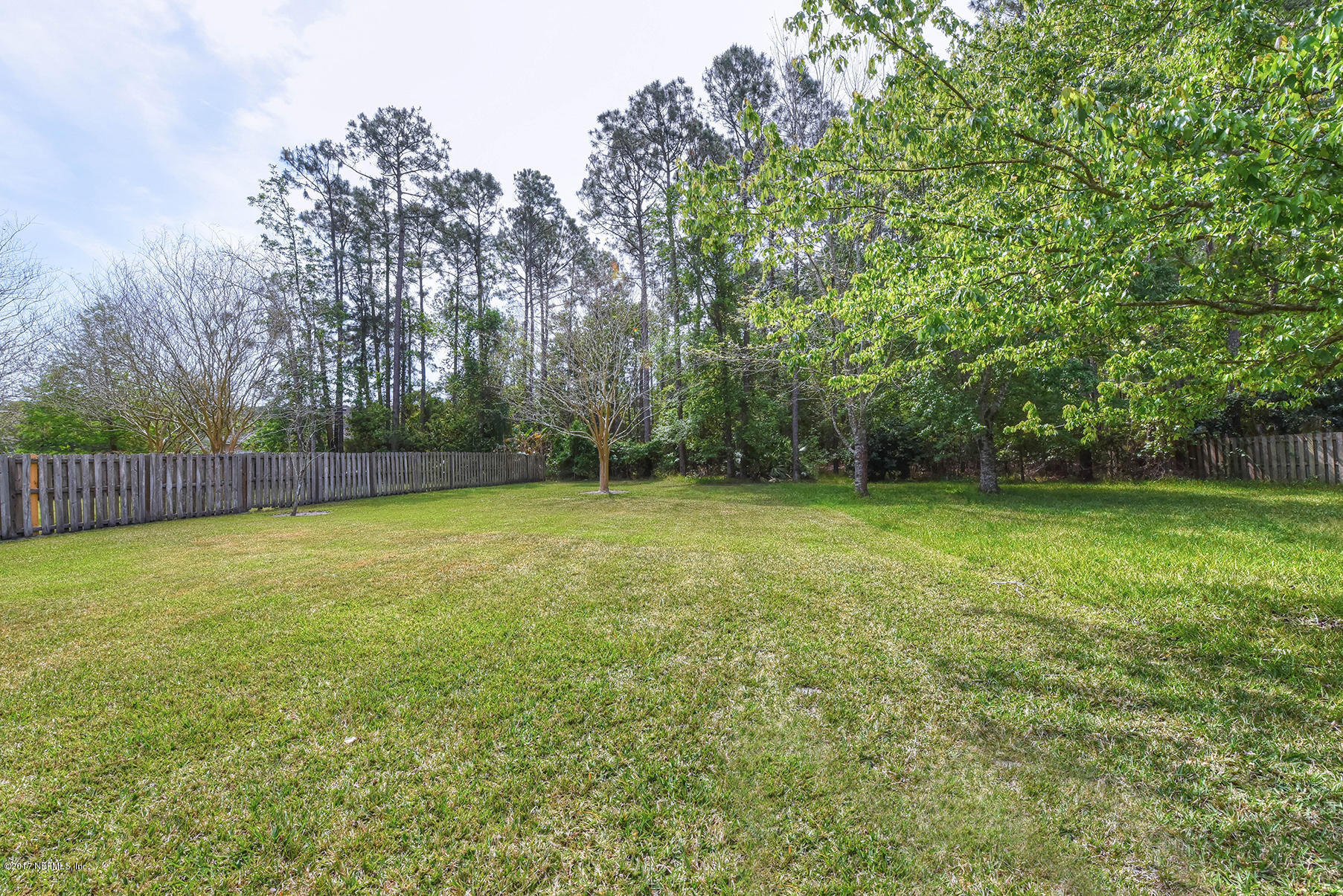 1241 Ribbon Road St. Johns, FL 32259 - Photo 35 of 64 a view of a yard with a tree