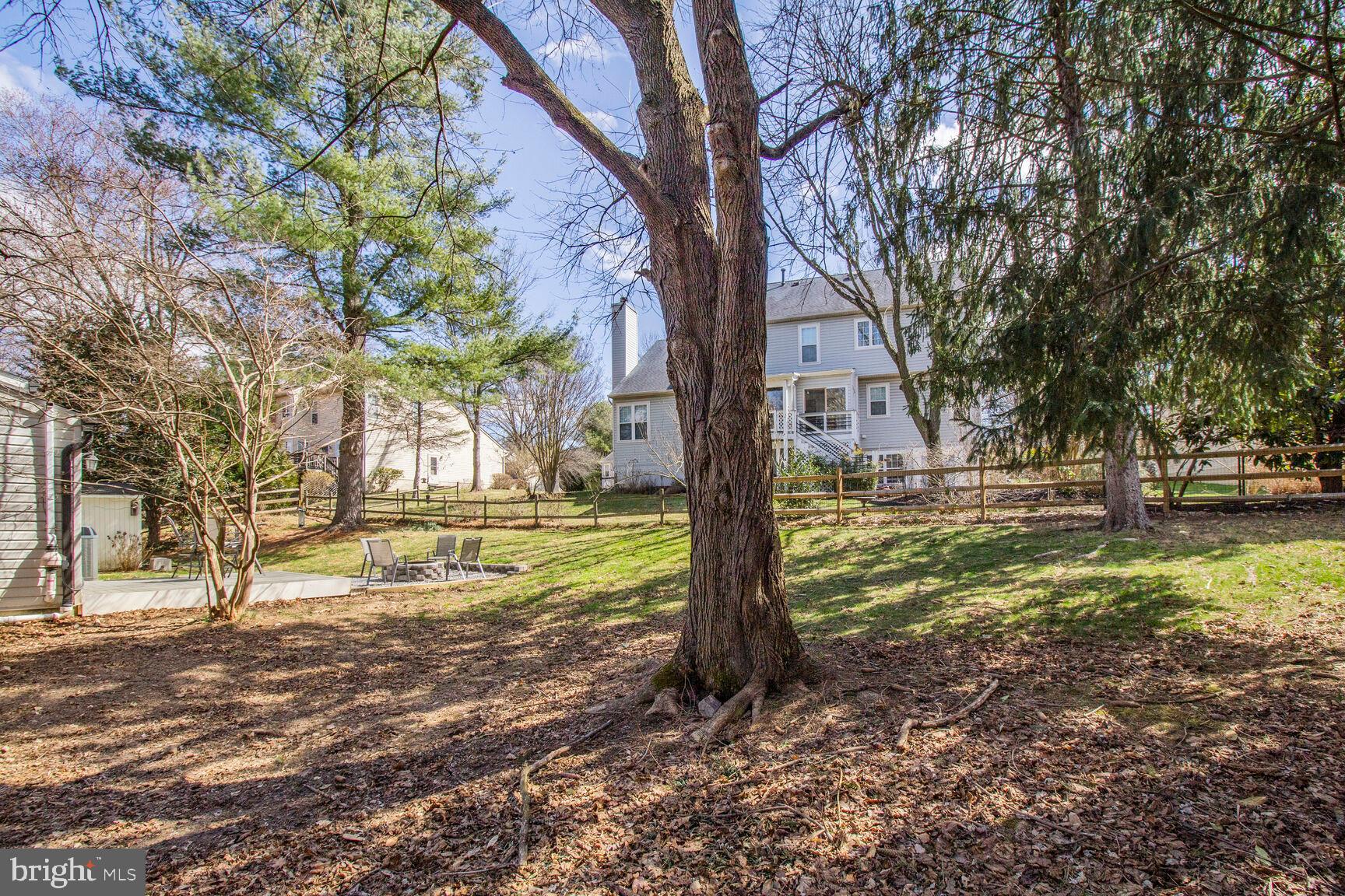 7009 Deepage Drive Columbia, MD 21045 - Photo 23 of 34 a view of a yard with a tree