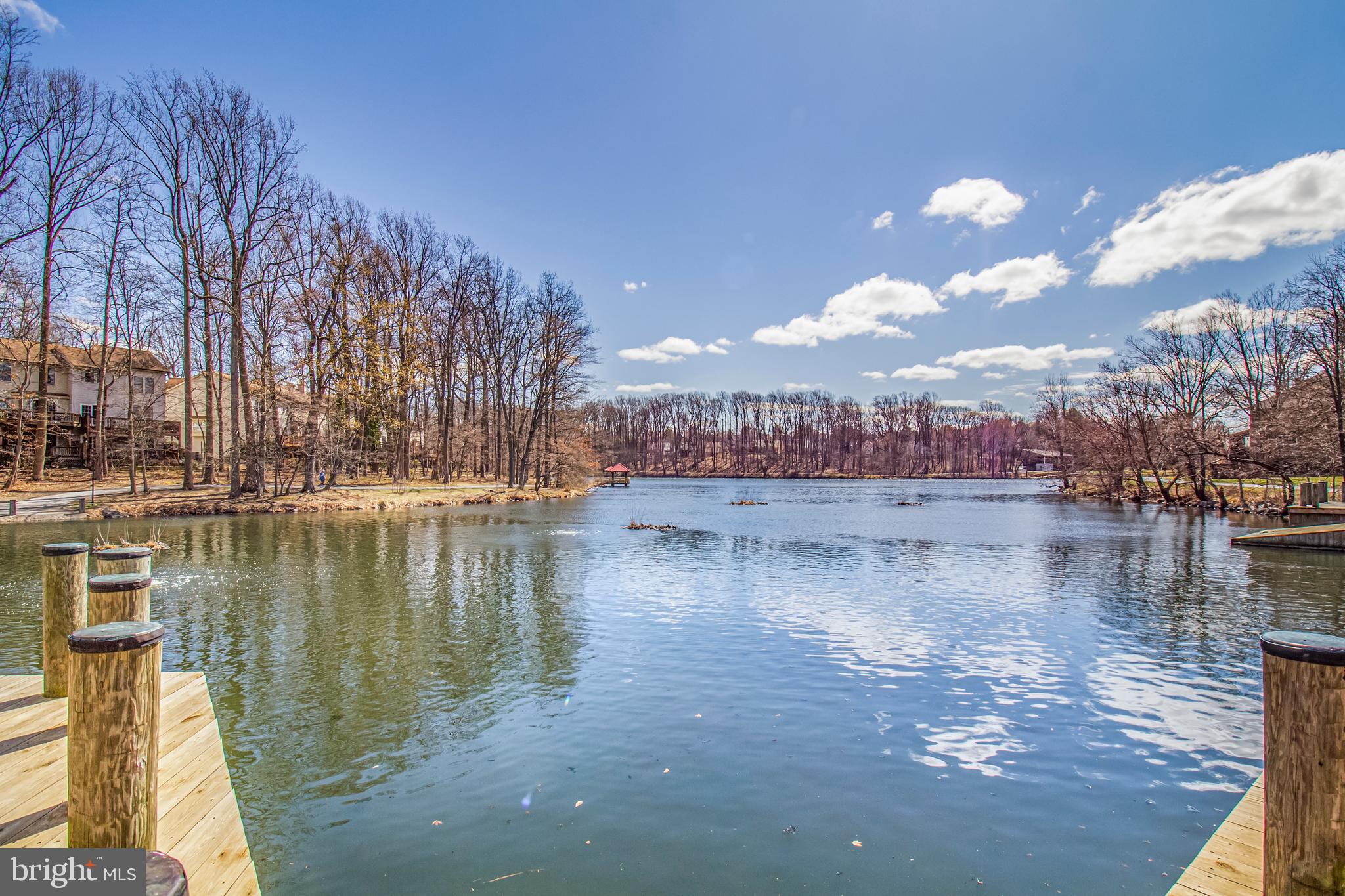 7009 Deepage Drive Columbia, MD 21045 - Photo 32 of 34 a view of a lake with trees