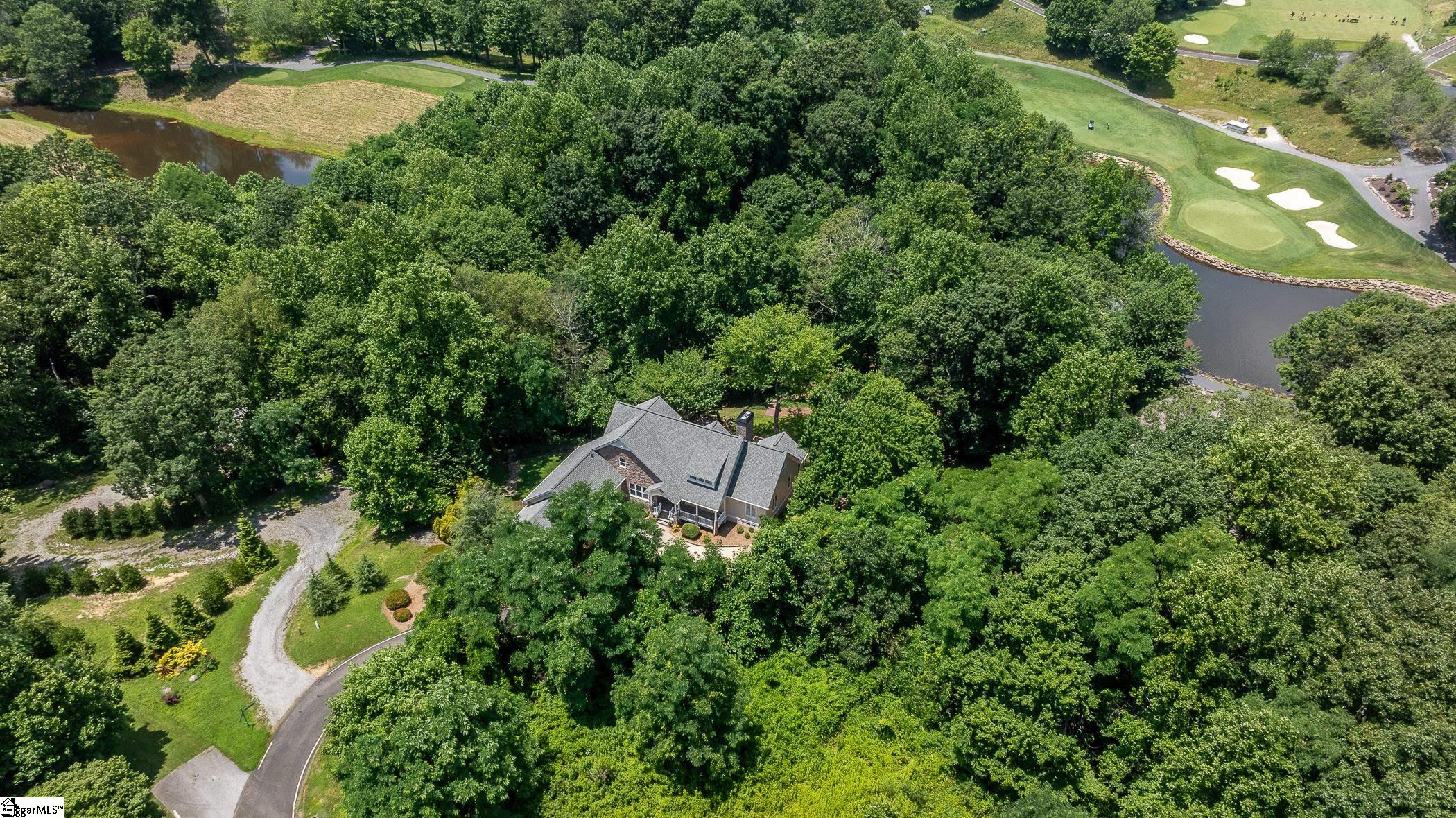 3 Soft Breeze Court Landrum, SC 29356 - Photo 44 of 49