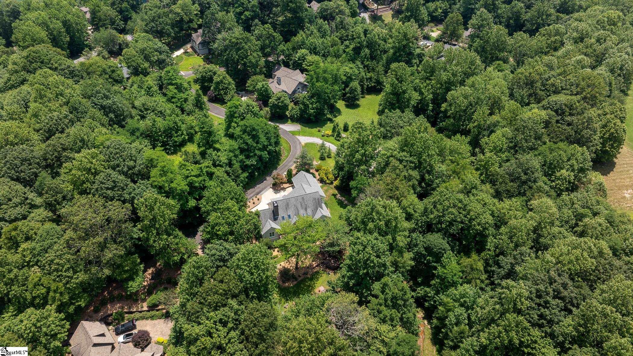 3 Soft Breeze Court Landrum, SC 29356 - Photo 45 of 49