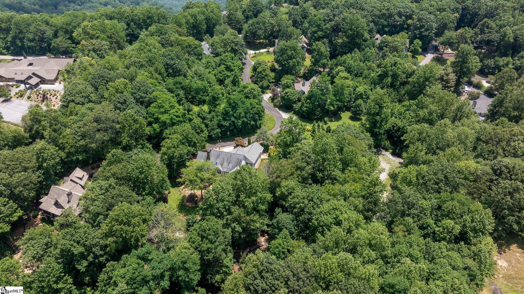 3 Soft Breeze Court Landrum, SC 29356 - Photo 46 of 49