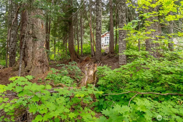 a backyard of a house with lots of green space