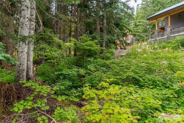 a view of a garden with a house