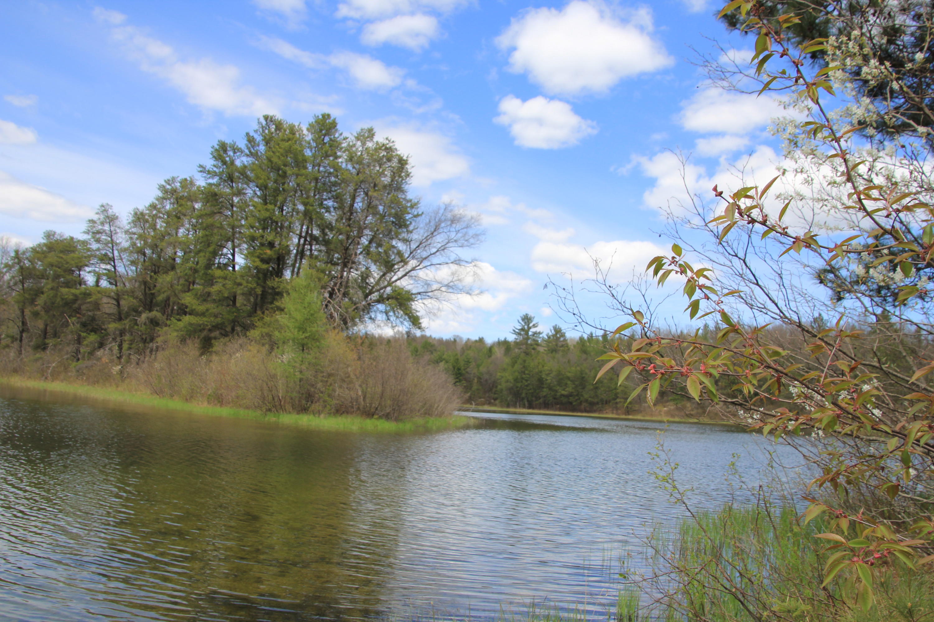 North Skeel Road Curran, MI 48728 - Photo 23 of 36 Gallery Image 23