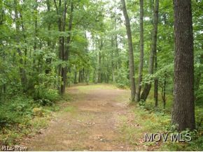 0 C Road Macfarlan, WV 26148 - Photo 12 of 17