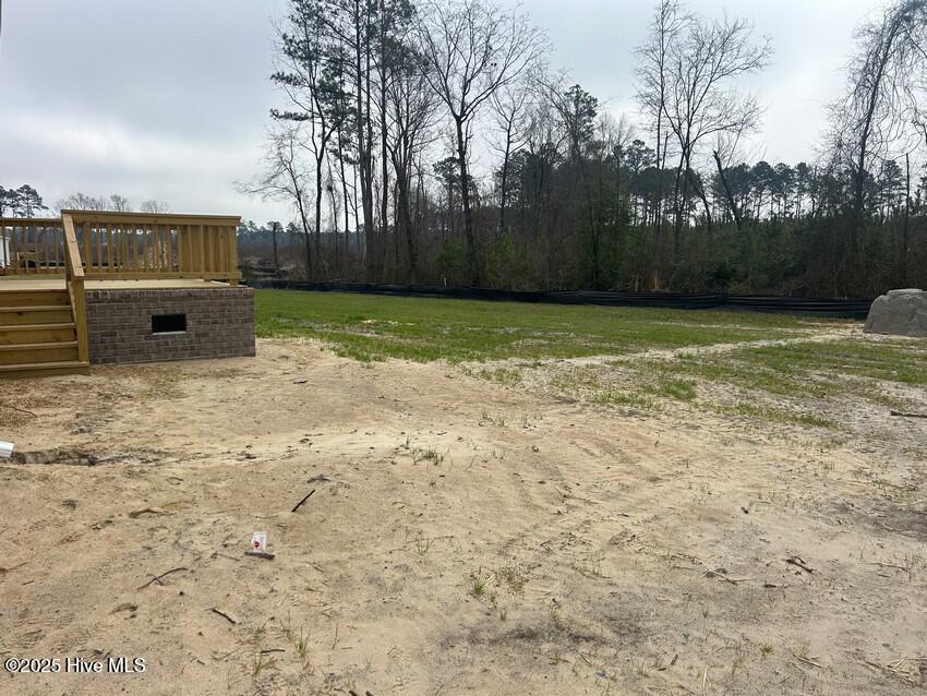 3356 North McCullen Road Faison, NC 28341 - Photo 23 of 30 IMG_9712