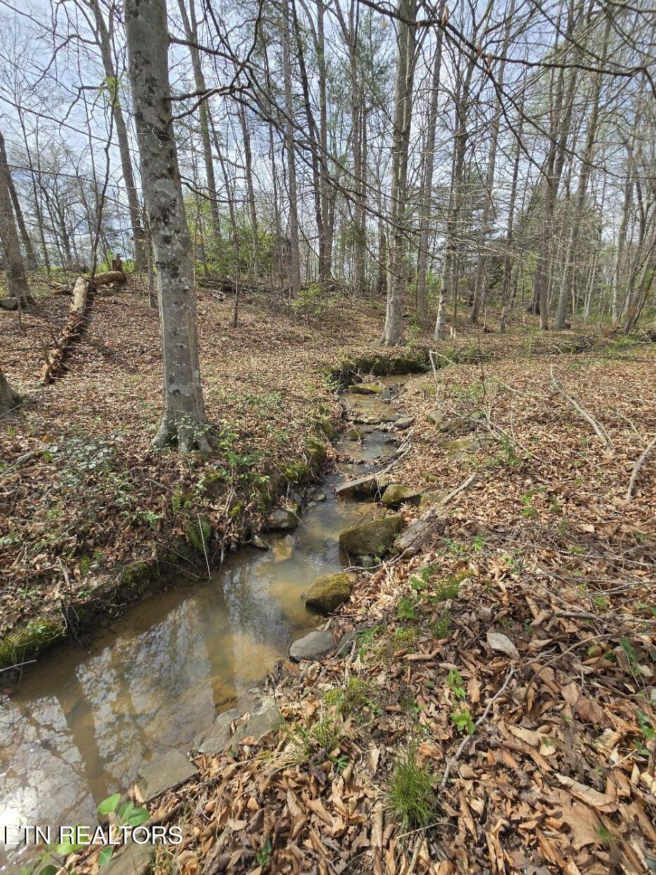 339 Edgewood Boulevard Oneida, TN 37841 - Photo 33 of 34 20260402_153057