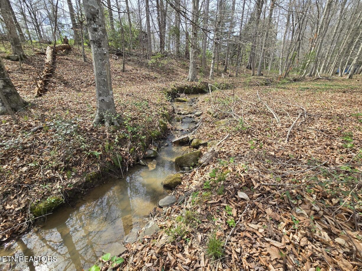 339 Edgewood Boulevard Oneida, TN 37841 - Photo 34 of 34 20260402_153055