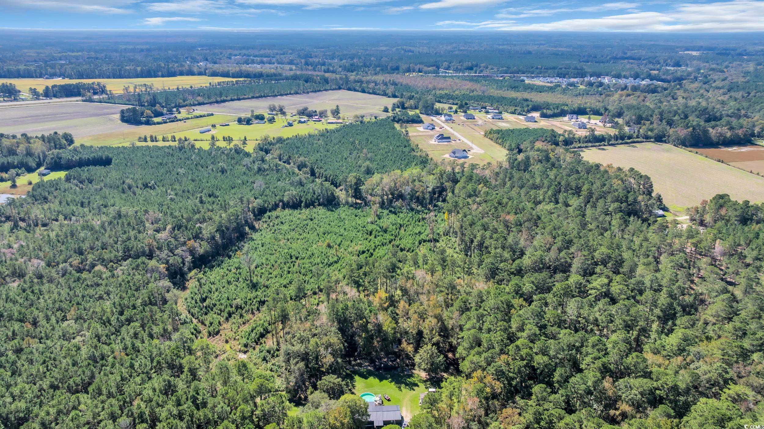 Tbd Tbd Not Specified Conway, SC 29526 - Photo 11 of 19