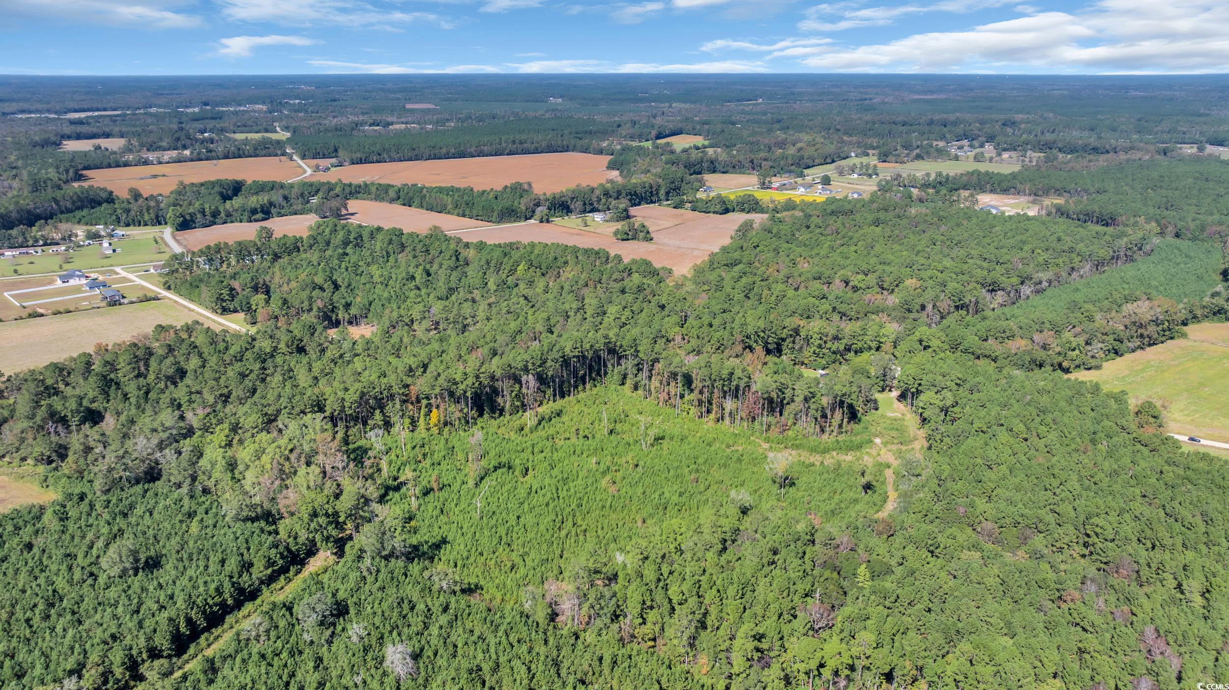 Tbd Tbd Not Specified Conway, SC 29526 - Photo 14 of 19