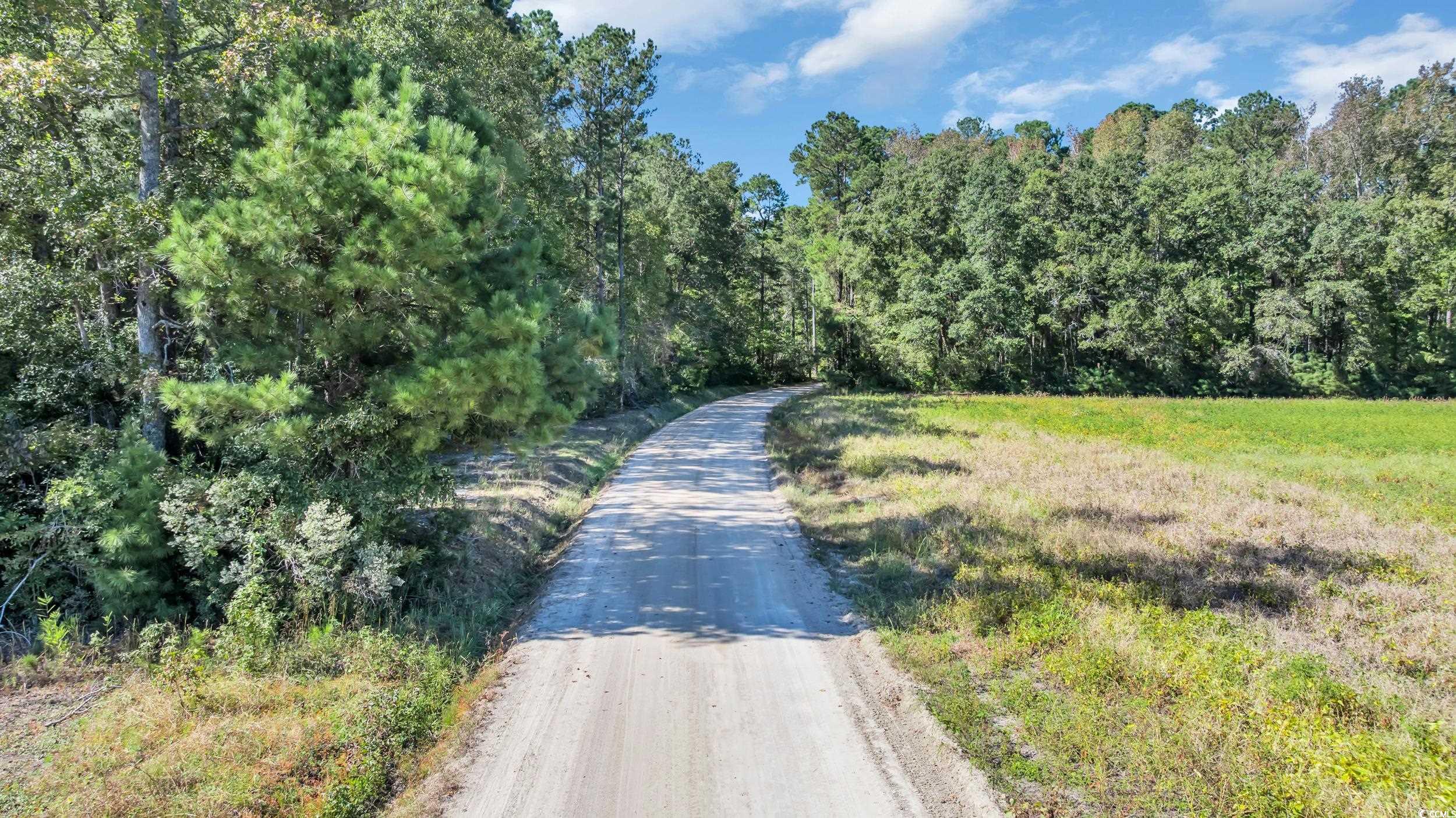 Tbd Tbd Not Specified Conway, SC 29526 - Photo 17 of 19