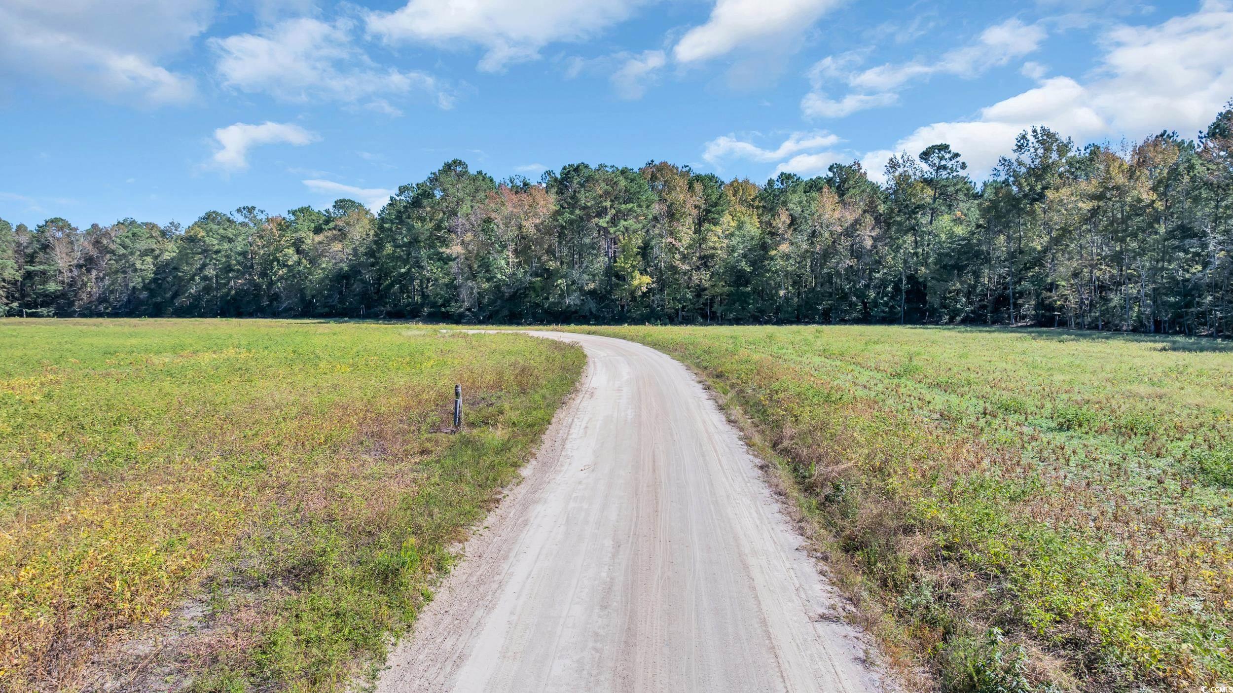 Tbd Tbd Not Specified Conway, SC 29526 - Photo 18 of 19