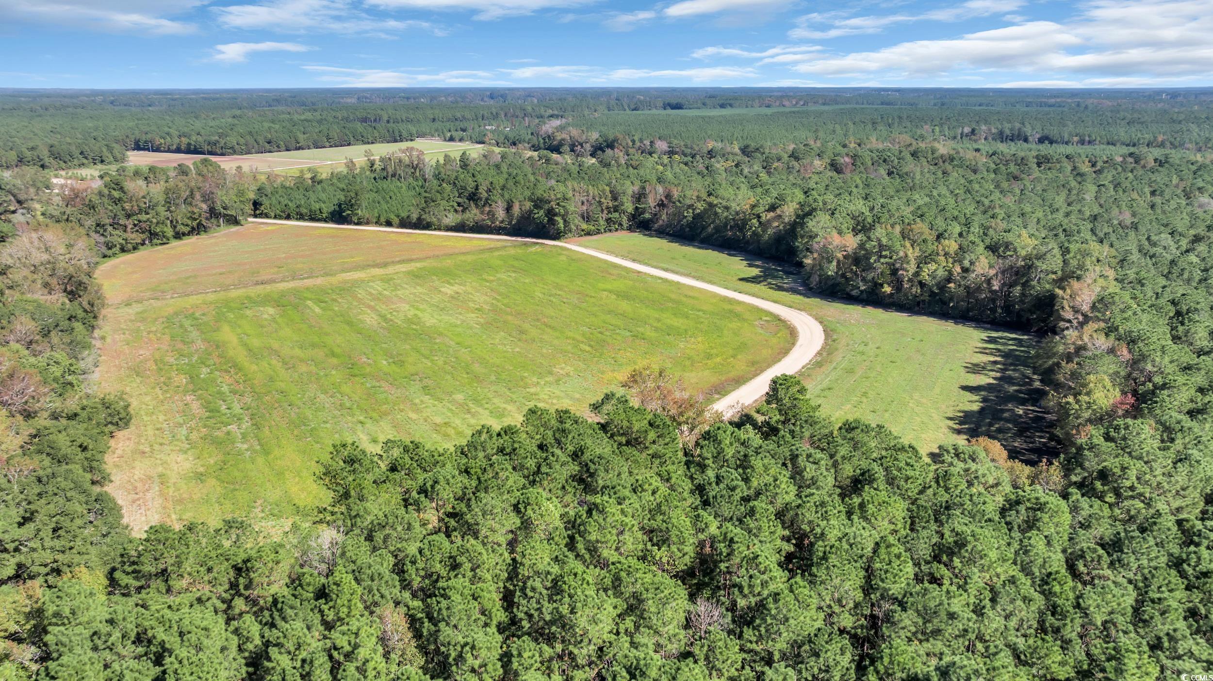 Tbd Tbd Not Specified Conway, SC 29526 - Photo 19 of 19