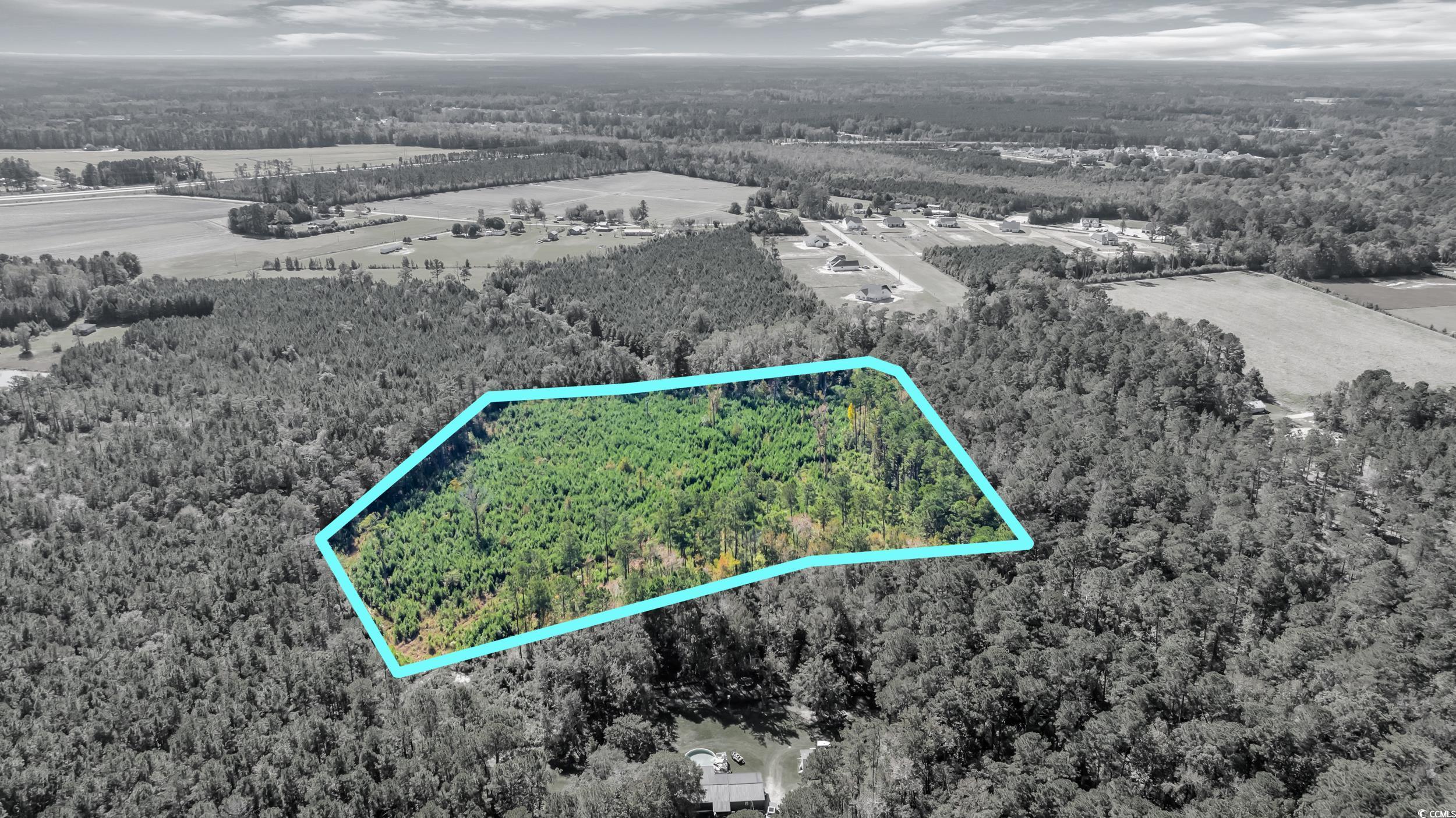 Tbd Tbd Not Specified Conway, SC 29526 - Photo 2 of 19