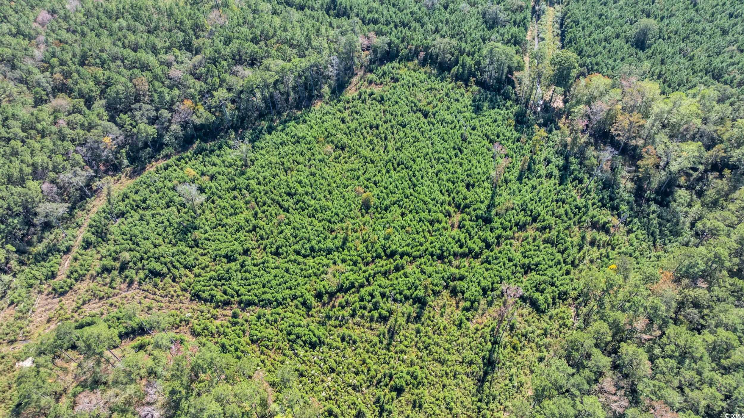 Tbd Tbd Not Specified Conway, SC 29526 - Photo 5 of 19