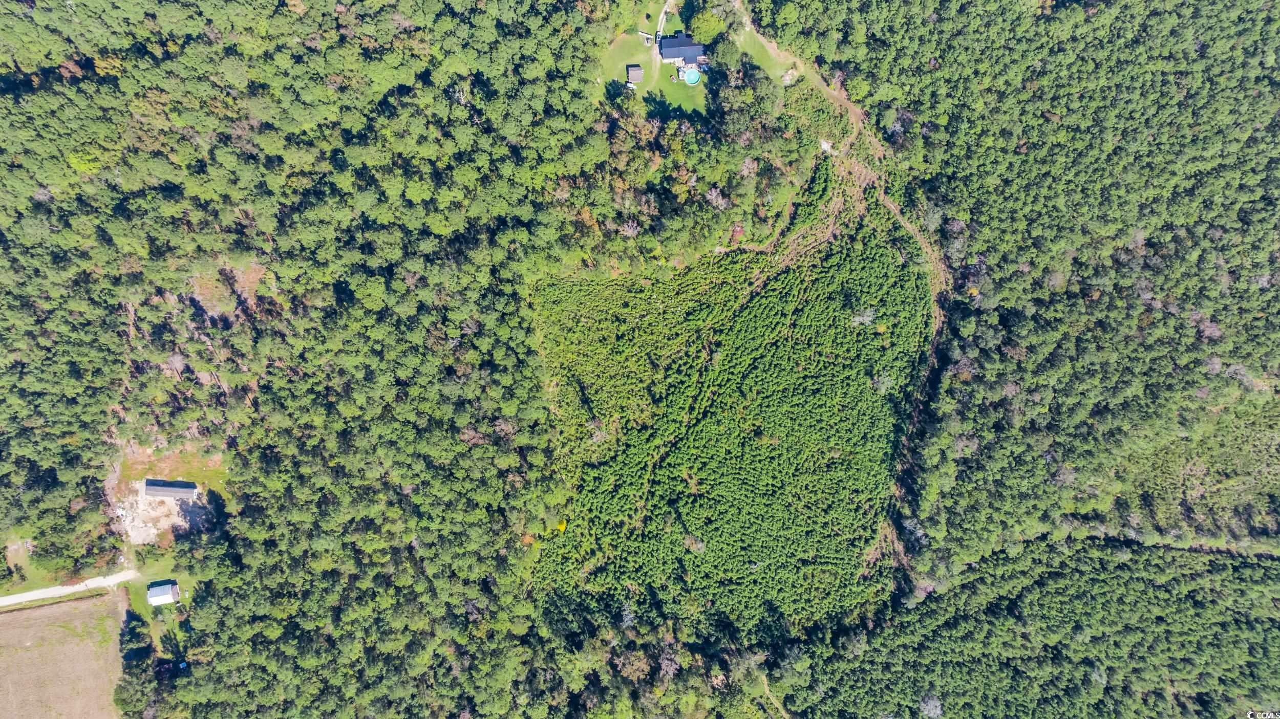 Tbd Tbd Not Specified Conway, SC 29526 - Photo 6 of 19