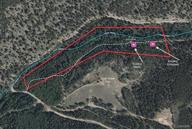 a view of a backyard with plants and trees