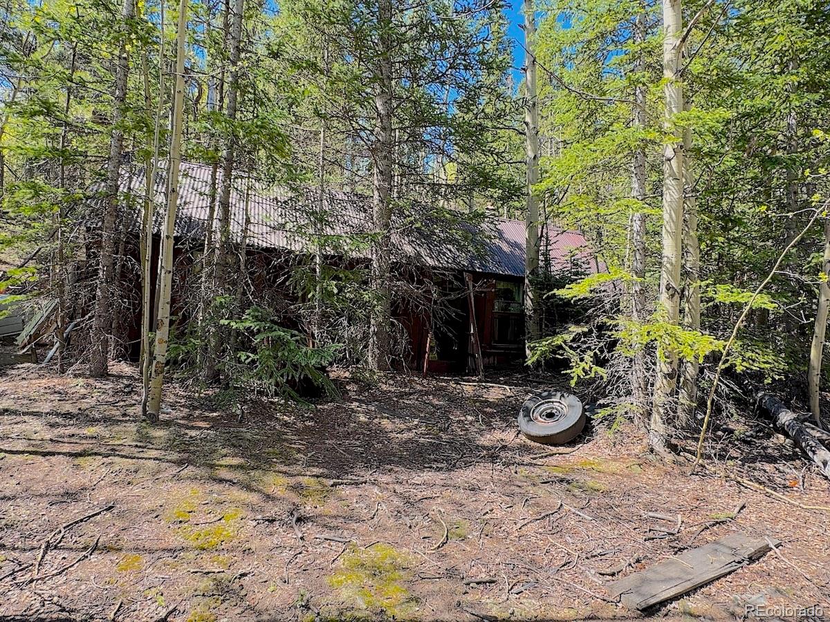 3257 Trail Creek Road Idaho Springs, CO 80452 - Photo 2 of 13 a view of a backyard with plants and trees