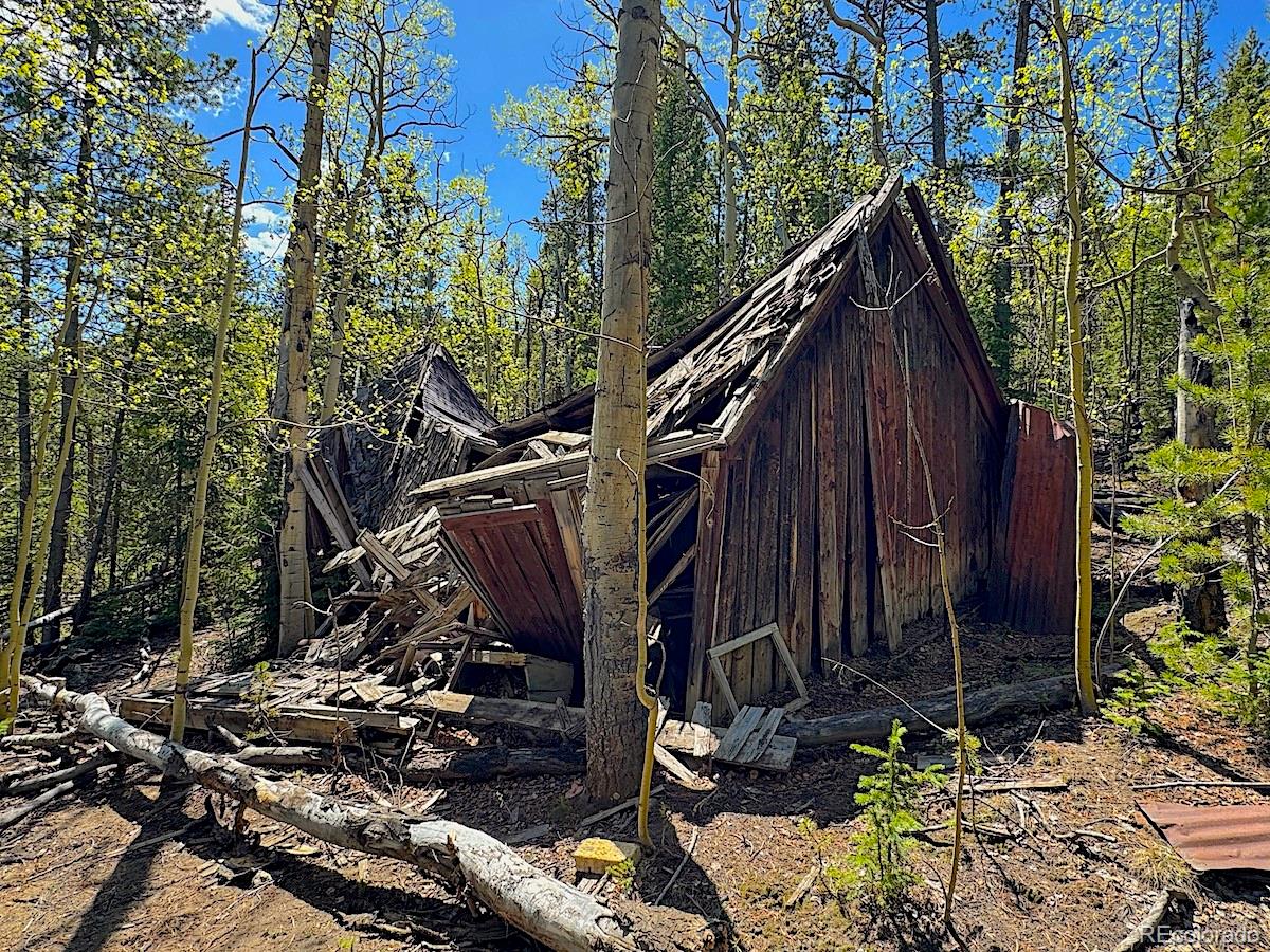 3257 Trail Creek Road Idaho Springs, CO 80452 - Photo 8 of 13 a view of a house with backyard and trees