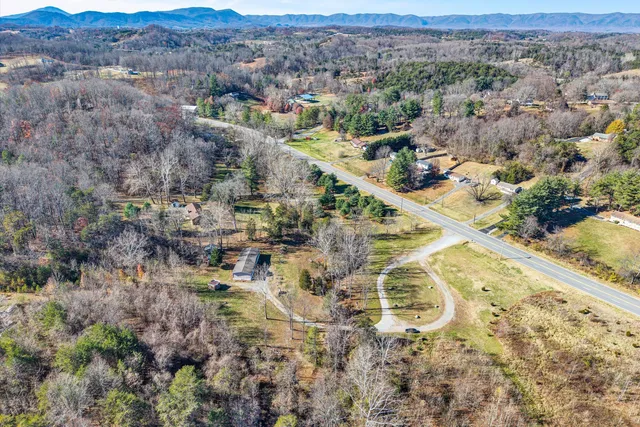 a view of a wooden floor and trees in the background