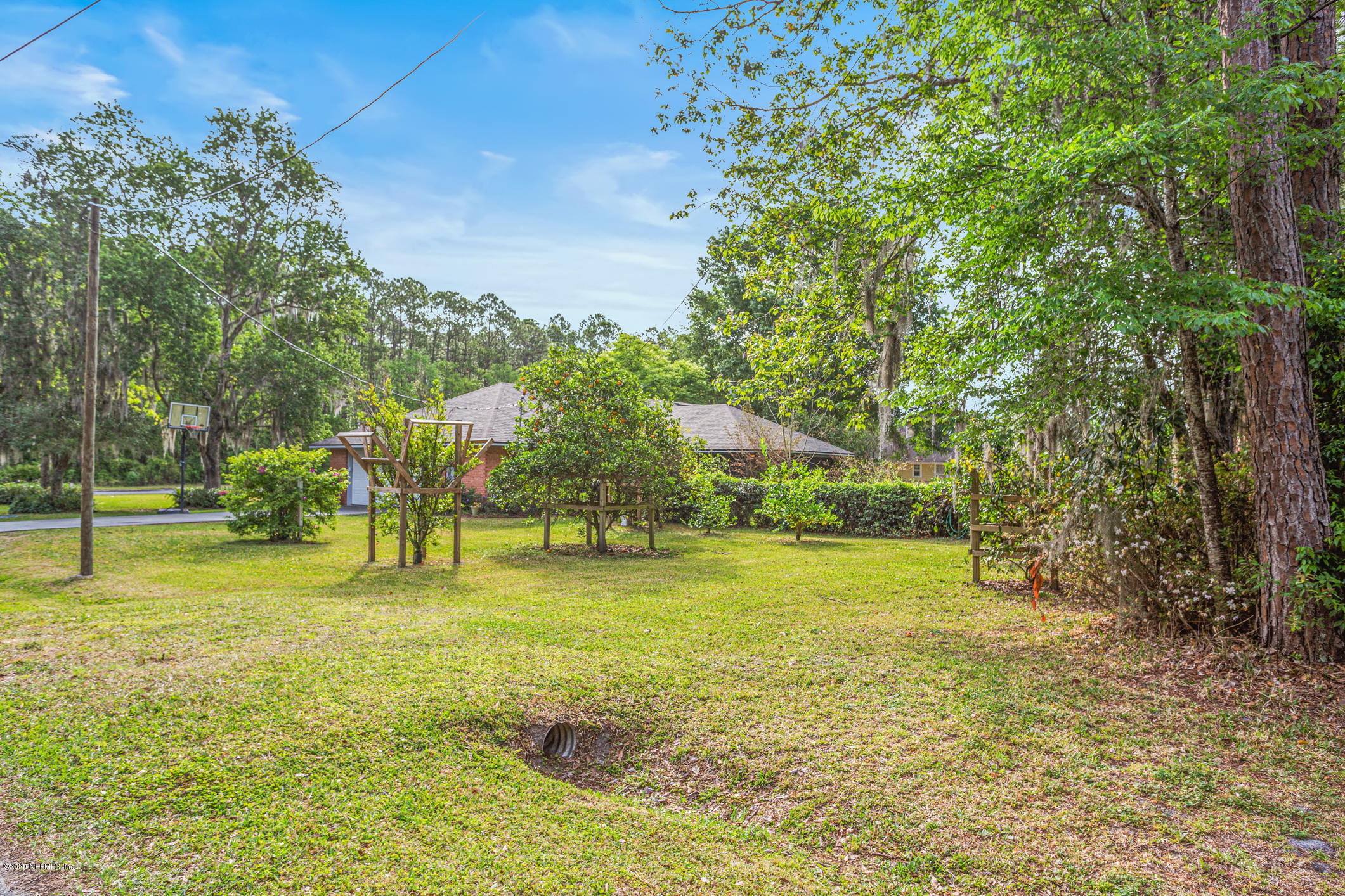 1449 Raiford Road Starke, FL 32091 - Photo 29 of 43 Backyard