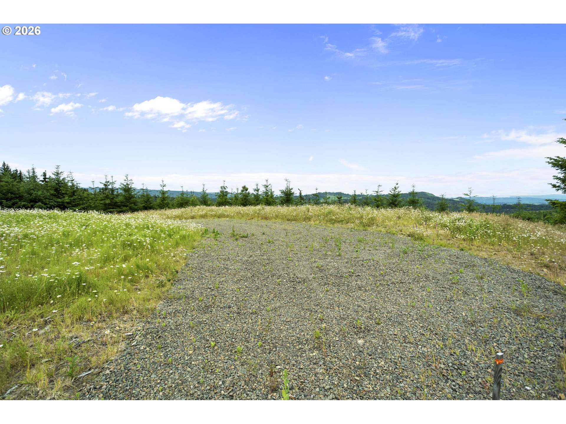 104 Bootjack Lane Kelso, WA 98626 - Photo 11 of 31 Home Site