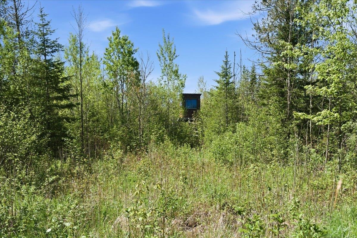 0 County Highway J Deerbrook, WI 54424 - Photo 15 of 78