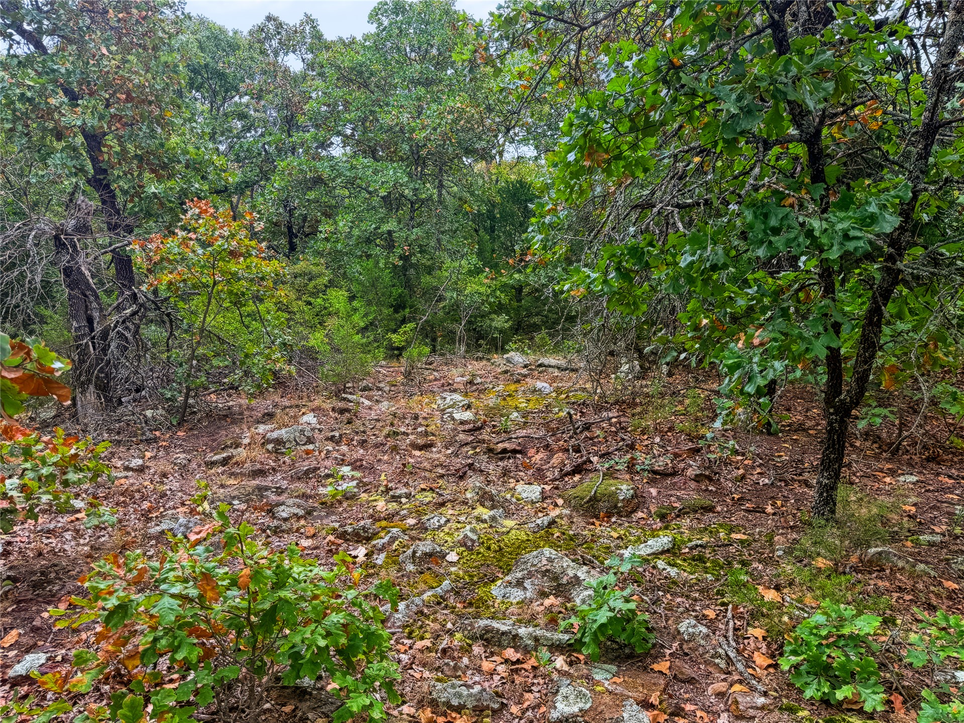 3607 South Half Bank Road Atoka, OK 74525 - Photo 64 of 82 Wooded terrain with varied foliage and natural rock formations