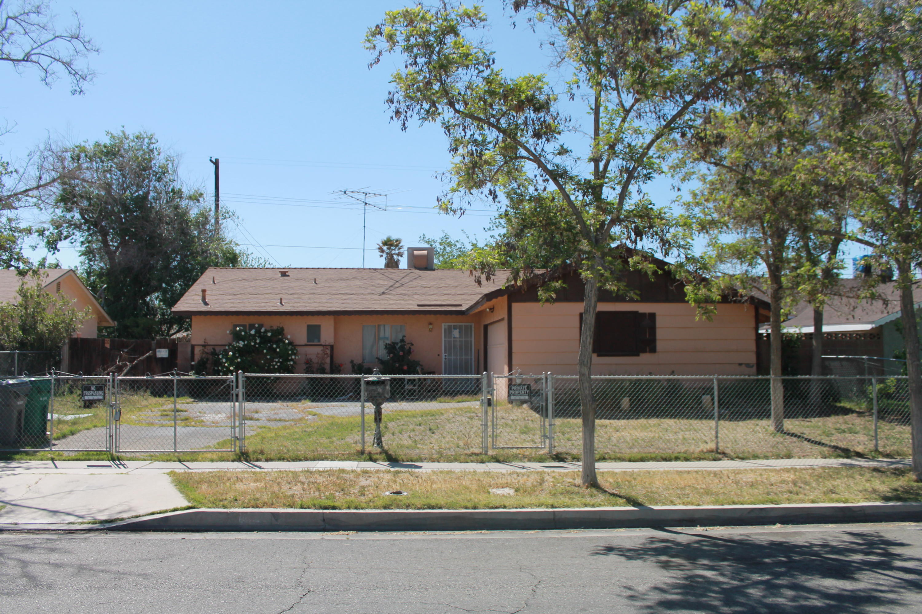a view of a yard and road