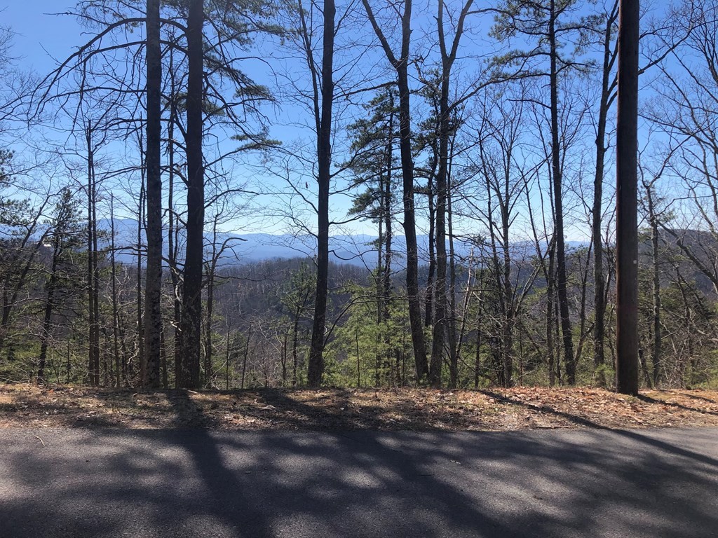 22 Eagle Point Sevierville, TN 37876 - Photo 2 of 8