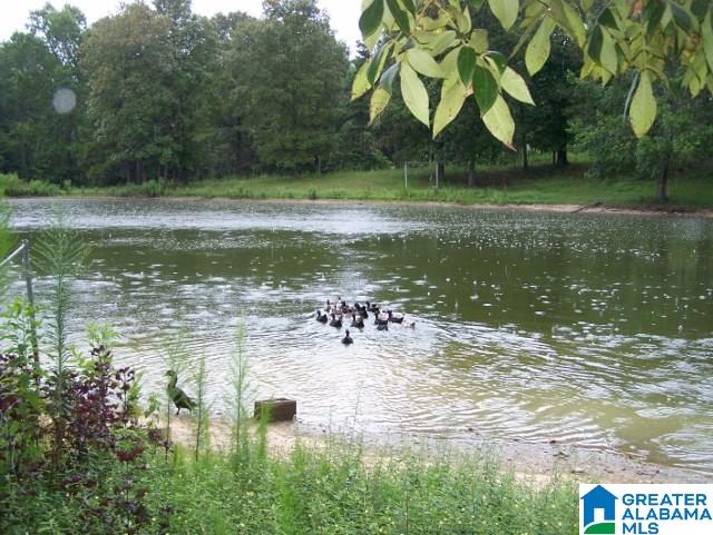 433 Poes Bend Road Ohatchee, AL 36271 - Photo 4 of 31 Gallery Image 4