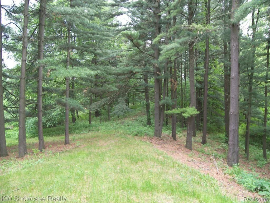 833 North Hughes Road Howell, MI 48843 - Photo 11 of 61 100_0639.jpg