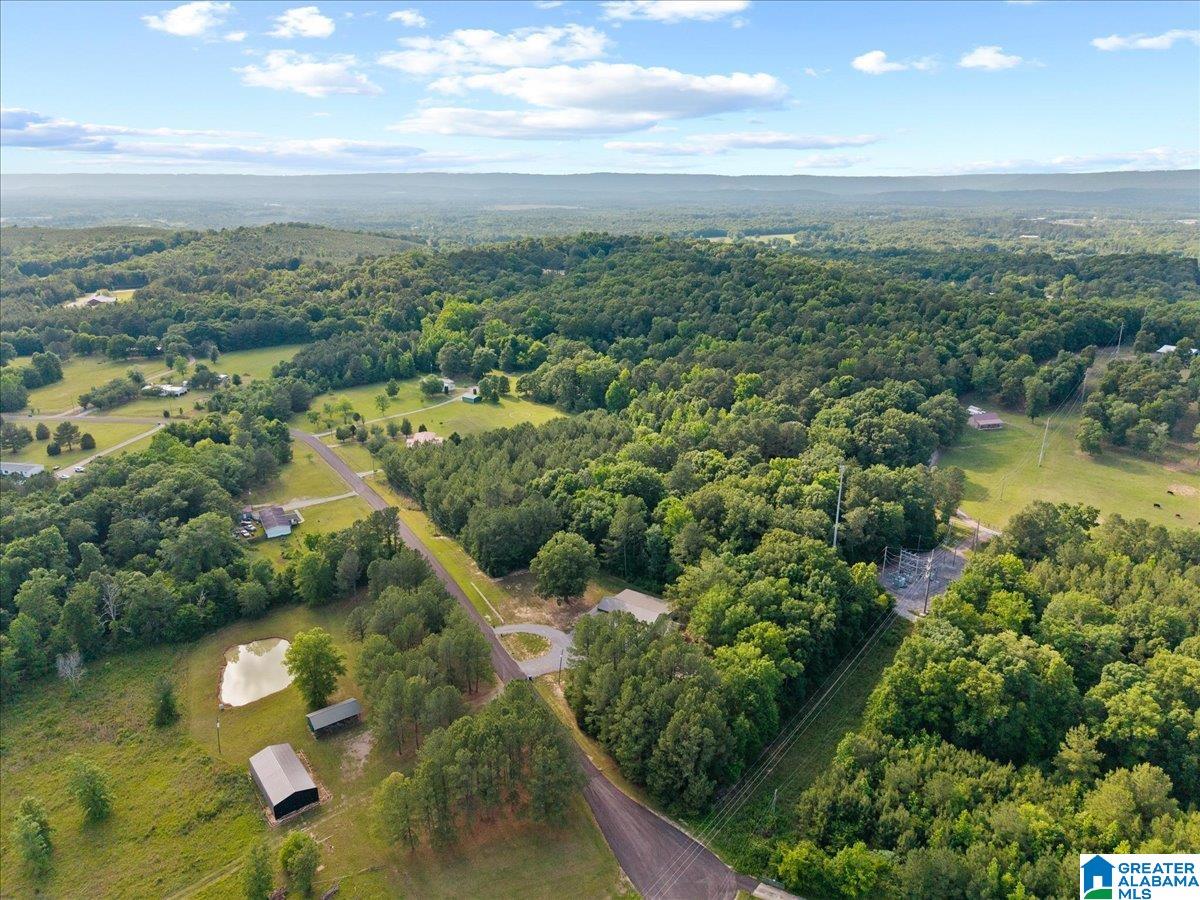 665 Stolle Farm Road Ashville, AL 35953 - Photo 70 of 77