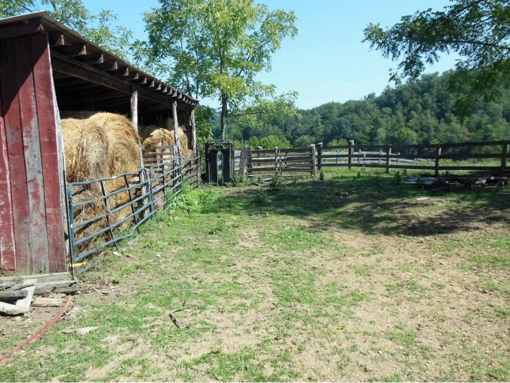 1322 Lick Creek Road Watauga, TN 37694 - Photo 11 of 34 Hay Bails
