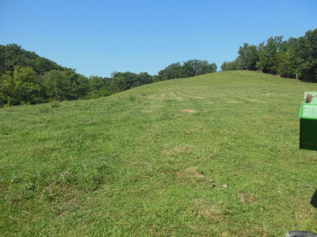 1322 Lick Creek Road Watauga, TN 37694 - Photo 15 of 34 Pasture