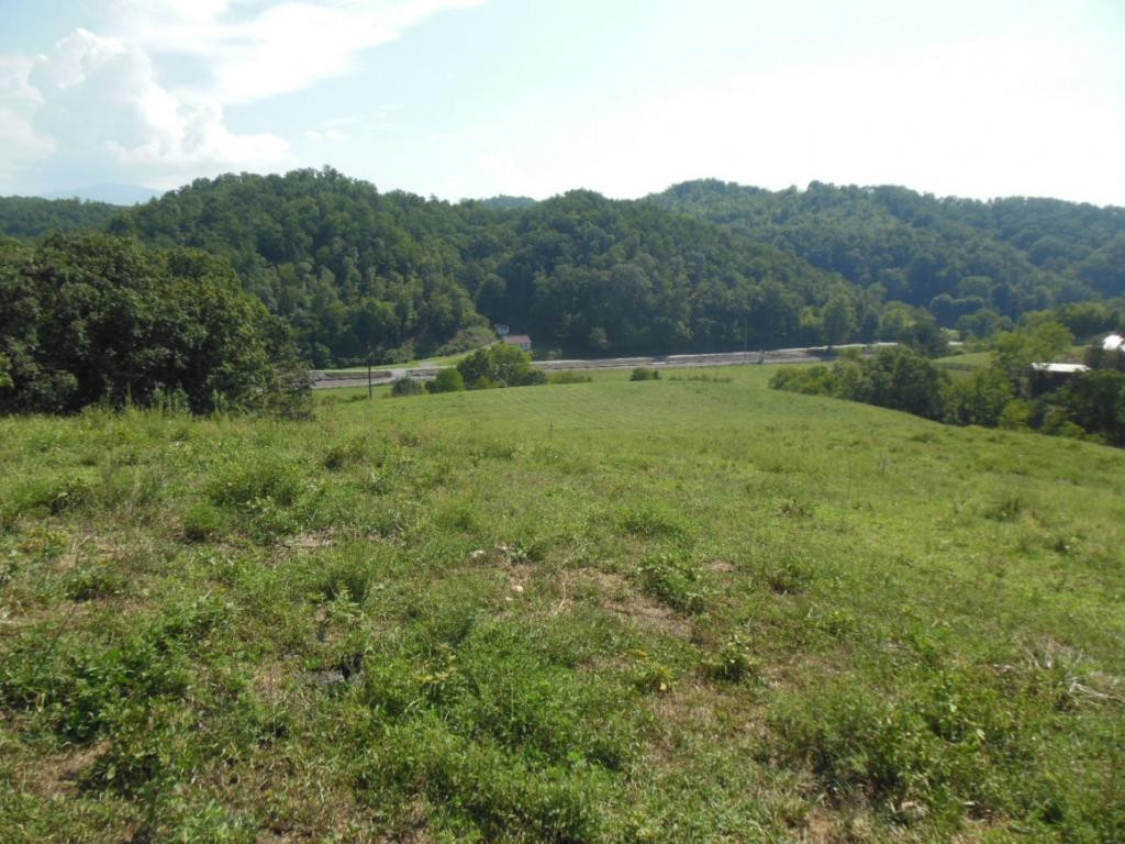 1322 Lick Creek Road Watauga, TN 37694 - Photo 17 of 34 Pretty Views