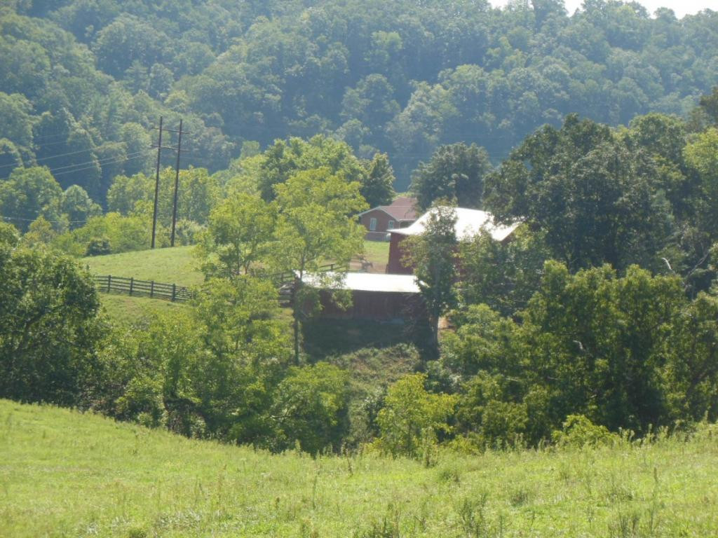 1322 Lick Creek Road Watauga, TN 37694 - Photo 18 of 34 Some Wooded Land
