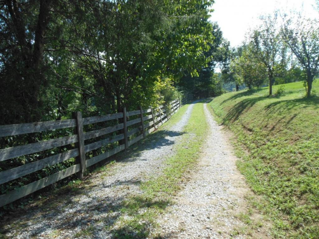 1322 Lick Creek Road Watauga, TN 37694 - Photo 8 of 34 Gravel Drive To Property