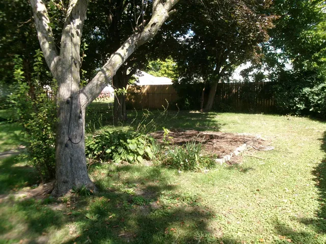 a view of a tree with a yard