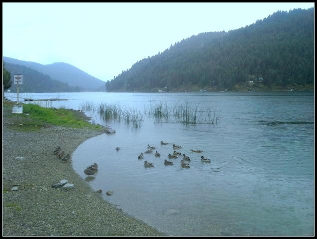 2821 Deep Lake Boundary Road Colville, WA 99114 - Photo 14 of 19 Gallery Image 14
